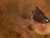 sto_101709_13-t